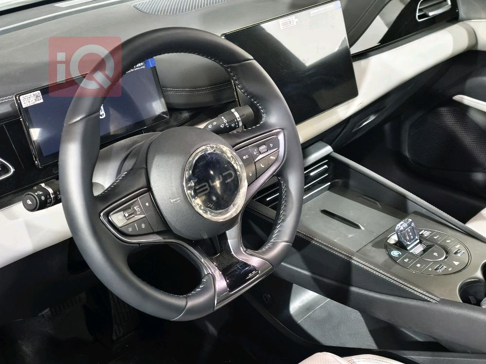 بي واي دي سيل 06 DM-i